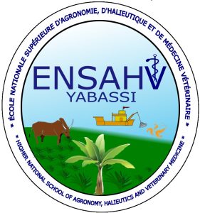 Logo ENSAHV